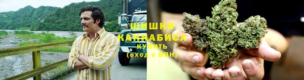 спайс Богородицк