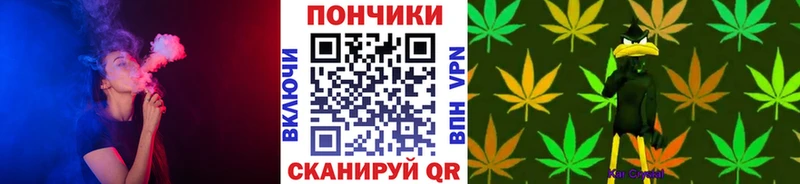 закладки  Комсомольск  Бошки марихуана Amnesia 